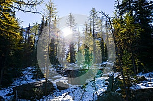 Autumn Scenery near Lake O`Hara, Yoho National Park, Canadian Rockies