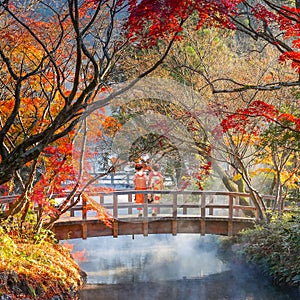 Japanese Geisha Girls in a Traditional Kimono Dress stroll in Autumn Scenery in a Park in the Famous Yufuin Resort Town