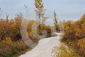 Autumn Scenery Path