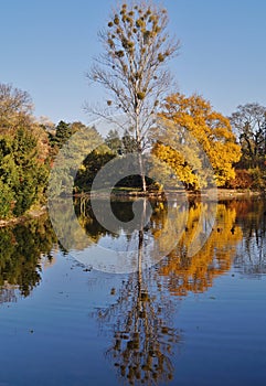 Autumn scenery - pond in the park