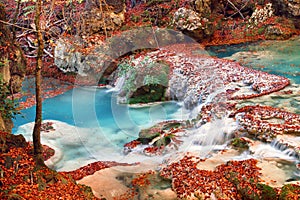 autumn scenery of a river with fallen leaves