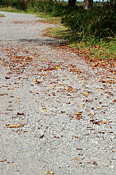 Autumn scenery of riverside path