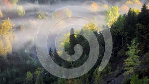 Rogue River valley in the early morning with fog and mist, Ontario, Canada