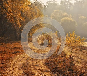 Autumn scenery of rural lane on a foggy morning