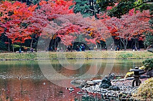 Autumn scenery of a stone lantern by a lake and people enjoying their time under beautiful maple trees with fiery foliage