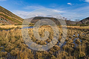 Autumn scenery, swamp with long grass and a stream leading to Lough Dan in Wicklow Mountains, Ireland