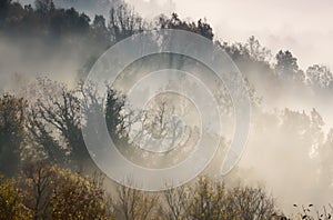 autumn scenery up early with fog in Zagorochoria, Epirus Greece
