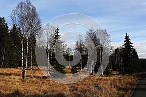 Autumn scenery in the vicinity of Modrava, Czech republic