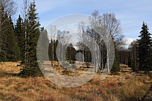 Autumn scenery in the vicinity of Modrava, Czech republic