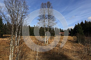 Autumn scenery in the vicinity of Modrava, Czech republic