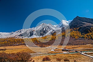Autumn scenery in Yading Nature Reserve