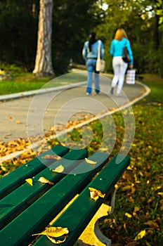 Autumn scenery, yellow leaves on a green bench in a park