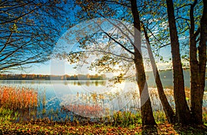 Autumn scenic lake landscape sunrise