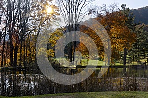 Autumn Scenic Landscape, Golden Tree Colors, Pond Reflection