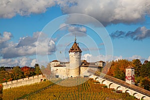 Autumn in Schaffhausen