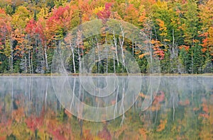 Autumn, Scout Lake