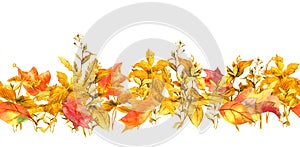 Autumn seamless border with fall, meadow grass, prairie plants, maple leaves. Floral vintage repeated banner frame