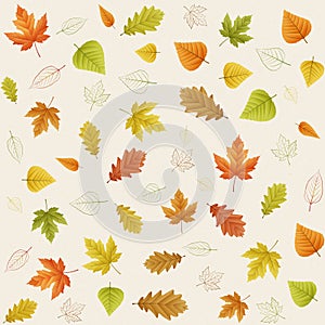 Autumn seamless leaf pattern on paper