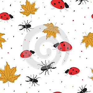 Autumn seamless pattern. Beetle, ladybug and maple leaf.