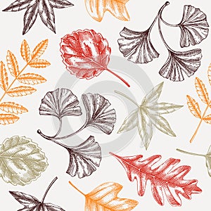 Autumn seamless pattern with fall leaves and dried flowers sketches. Thanksgiving background. Vector dried plants, falling leaves