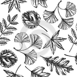 Autumn seamless pattern with fall leaves and dried flowers sketches. Thanksgiving background. Vector dried plants, falling leaves