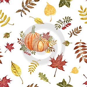 Autumn seamless pattern with orange pumpkins, colorful foliage and red berries. Fall botanical print with white background.