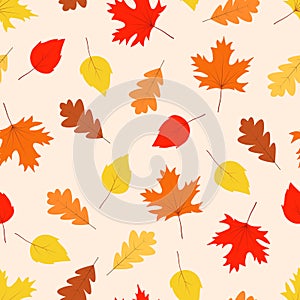 Autumn seamless pattern, yellow and red maple oak and aspen leaves fall in autumn.