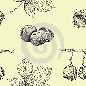 Autumn seamless vector pattern with chestnut leaves and nuts. Vintage fall seasonal decor. Hand drawn illustration