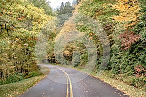 Autumn season in apalachin mountains on blue ridge parkway