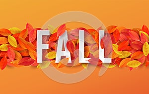 Autumn season background with realistic 3d tree leaf border