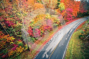 Autumn season and color changing leaves season