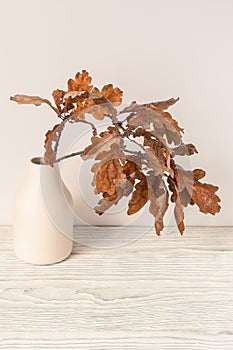 Autumn season concept. Dry oak leaves in vase on light backround