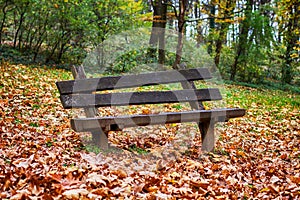 Autumn season empty park bench