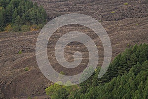 Autumn season on the Etna volcano