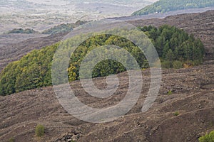 Autumn season on the Etna volcano