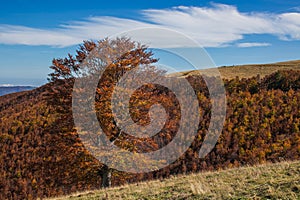 Autumn season and foliage in the Monti della Laga, a mountain range in the central Apennines of Italy photo