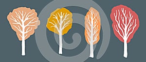 Autumn season forest