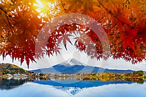 Autumn Season and Fuji mountain at Kawaguchiko lake, Japan