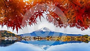 Autumn Season and Fuji mountain at Kawaguchiko lake, Japan