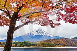 Autumn Season and Fuji mountains at Kawaguchiko lake, Japan