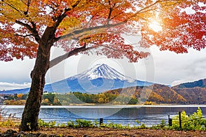 Autumn Season and Fuji mountains at Kawaguchiko lake, Japan photo