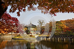 Autumn season of Gyeongbokgung Palace in South Korea.