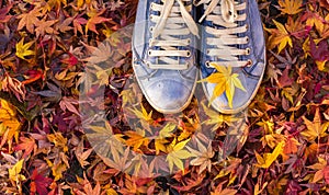 Autumn season in hipster style shoes