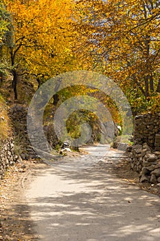 Autumn season in Hunza valley, Gilgit Baltistan, Pakistan