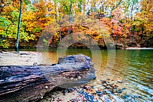 Autumn season at a lake