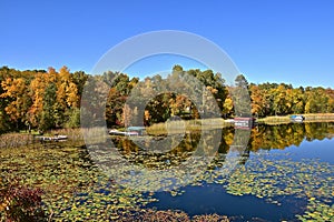 Autumn season on lake with lily pads and boats on docks