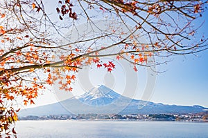 Autumn Season and Mountain Fuji with evening light and red leave