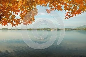 Autumn season and mountain Fuji in morning with red leaves maple