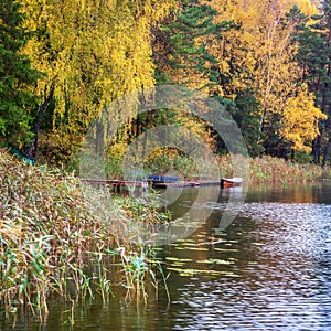 Autumn season near lake