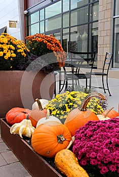 Autumn season outdoor decoration background. Shopping concept.